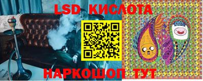гашик Жуковский