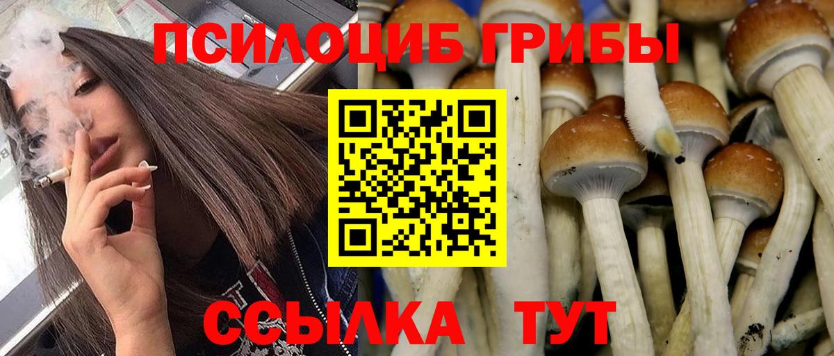 Галлюциногенные грибы мухоморы  наркошоп  Магнитогорск  Галлюциногенные грибы мухоморы  Вход с VPN 